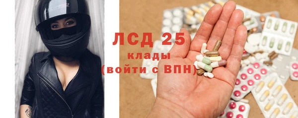 ПСИЛОЦИБИНОВЫЕ ГРИБЫ Алексин