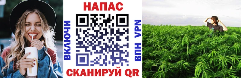 Конопля планчик  нарко площадка Telegram  Данилов 
